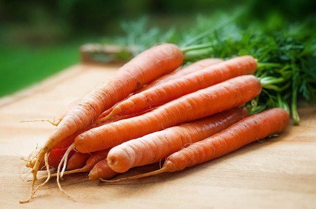 la zanahoria engorda